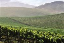 Wine Edventures & Premium Outlets